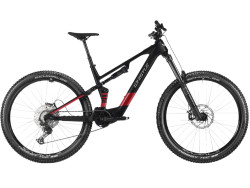 Whistle AXR C6.6