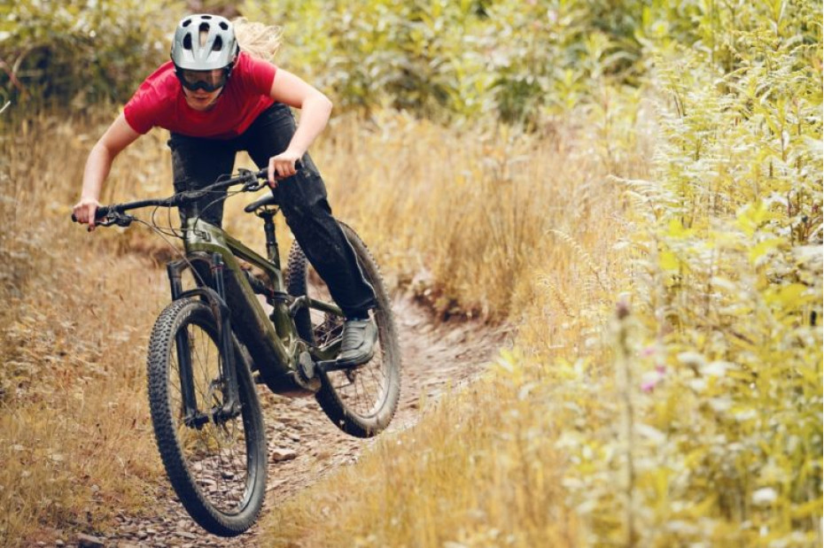 Cannondale представиха две нови планински електрически „мекици“ Cannondale представиха две нови планински електрически „мекици“